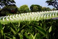 Veterans Cemetery