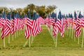 American Flags on Veteran`s Day, Field of Honor Royalty Free Stock Photo