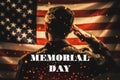 Veterans Day, Memorial Day. Silhouette of a soldier saluting against the background of the American flag with sparks. Rear view. Royalty Free Stock Photo