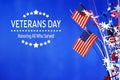 Veterans day message Royalty Free Stock Photo