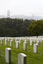 Veterans Day National Cemetery Royalty Free Stock Photo