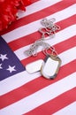 Veterans Day USA Flag with dog tags Royalty Free Stock Photo