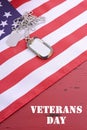 Veterans Day USA Flag with dog tags Royalty Free Stock Photo