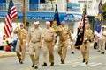 Veterans of Foreign Wars (VFW) Parade Royalty Free Stock Photo