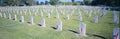 Veterans National Cemetery Royalty Free Stock Photo