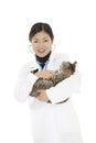Asian woman Veterinarian examining a kitten