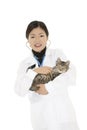 Asian woman Veterinarian examining a kitten