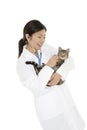 Asian woman Veterinarian examining a kitten