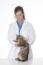 Beautiful Caucasian woman Veterinarian examining a kitten