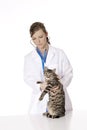 Beautiful Caucasian woman Veterinarian examining a kitten Royalty Free Stock Photo