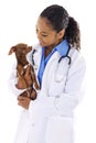 Veterinarian Royalty Free Stock Photo