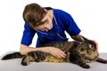 Veterinarian Royalty Free Stock Photo