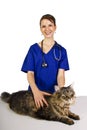 Veterinarian Royalty Free Stock Photo