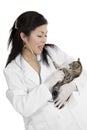 Asian woman Veterinarian wearing a lab coat and examining a kitten