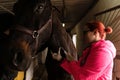 Veterinarian administering injection to horse