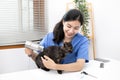 Veterinarian or animal nurse will examine your cat`s physical Royalty Free Stock Photo