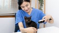 Veterinarian or animal nurse will examine your cat`s physical Royalty Free Stock Photo