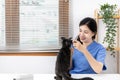 Veterinarian or animal nurse will examine your cat`s physical Royalty Free Stock Photo