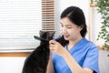 Veterinarian or animal nurse will examine your cat`s physical