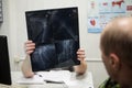 A veterinarian in an animal treatment clinic examines an x-ray of the bone system of a large dog. Bone fracture