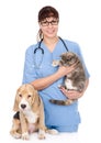 Veterinarian with cat and dog. isolated on white background Royalty Free Stock Photo