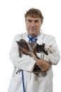 The Veterinarian and cats