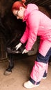 Veterinarian checking black horse\'s hoof