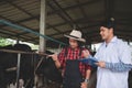 Veterinarian checking on his livestock and quality of milk in the dairy farm .Agriculture industry, farming and animal husbandry Royalty Free Stock Photo