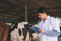 Veterinarian checking on his livestock and quality of milk in the dairy farm .Agriculture industry, farming and animal husbandry Royalty Free Stock Photo