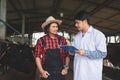 Veterinarian checking on his livestock and quality of milk in the dairy farm .Agriculture industry, farming and animal husbandry Royalty Free Stock Photo