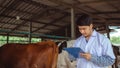 Veterinarian checking on his livestock and quality of milk in the dairy farm .Agriculture industry, farming and animal husbandry Royalty Free Stock Photo
