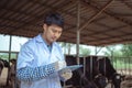 Veterinarian checking on his livestock and quality of milk in the dairy farm .Agriculture industry, farming and animal husbandry Royalty Free Stock Photo