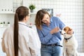 The veterinarian and the client with the dog to discuss the treatment in a veterinary clinic. Royalty Free Stock Photo