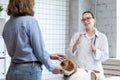 The veterinarian and the client with the dog to discuss the treatment in a veterinary clinic. Royalty Free Stock Photo