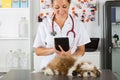 Veterinarian at the clinic with Shih Tzu