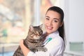 Veterinarian doc with cat in animal clinic Royalty Free Stock Photo