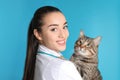 Veterinarian doc with cat Royalty Free Stock Photo