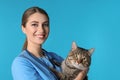 Veterinarian doc with cat on color background. Royalty Free Stock Photo