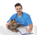 Veterinarian doc with cat on white Royalty Free Stock Photo