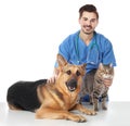 Veterinarian doc with dog and cat Royalty Free Stock Photo