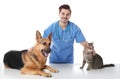 Veterinarian doc with dog and cat on white Royalty Free Stock Photo