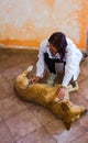 Veterinarian doctor checking a golden retriever dog with a home visit with a stethoscope Royalty Free Stock Photo