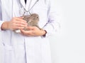 Veterinarian doctor holding and examining a baby gray rabbit with a stethoscope over white background.