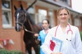 Veterinarian doctor holds horse certificate in background Royalty Free Stock Photo