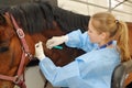 Veterinarian doctor with horse
