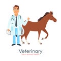 Veterinarian doctor with horse Royalty Free Stock Photo