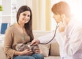 Veterinarian doctor is making a check up of a cute beautiful cat