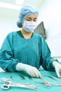 Veterinarian doctor in operation room Royalty Free Stock Photo