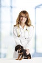 Veterinarian doctor and spaniel puppy Royalty Free Stock Photo