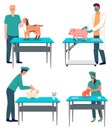 Veterinarian doctor treat animals in the hospital office. Visit to vet clinic to check health of pet